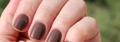 Dior Vernis Nail Lacquer 729 Blazing Bronze