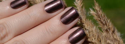 Моя осень с Chanel Terrana #697