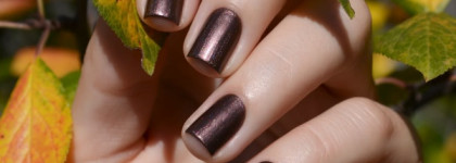 Моя осень с Chanel Terrana #697