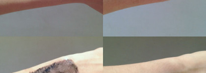 Мое первое знакомство с Innisfree