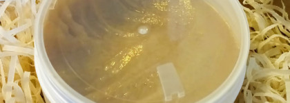 Миндальный скраб для тела Tender Almonds Body Scrub от Refresh