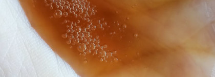 Шампунь с восточными травами Gin Shampoo от Richenna