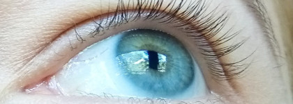 Тушь для ресниц Better than Sex Mascara в чёрном оттенке от Too Faced