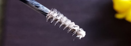 Тушь для бровей Brow Arcade в оттенке 02 от Vivienne Sabo