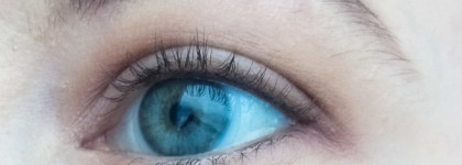 Тушь для ресниц Extra Volume Eyelash Mascara black от Shik