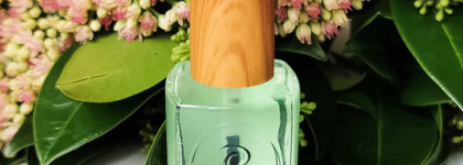 Регенерирующее средство для ногтей Phyto Strong от Berenice