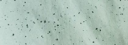 Матирующие салфетки Matte Blotting Papers от Limoni