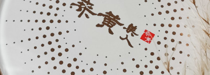 Кушон с эффектом фарфоровой кожи Mesh Cushion от Soosul