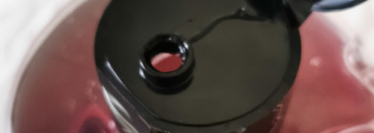 Правильная чёрная смородина в геле для душа Black Currant от Letique