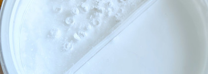 Прекрасная во всём минеральная пудра - праймер от Ecomake