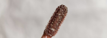 Ну красота же! Жидкие Тени Glow Metal Liquid Eye Shadow в оттенке 004 от Limoni