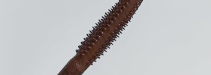 Моя первая коричневая тушь - Perfetta Volume Up Zoom Mascara в оттенке 02 Brown от Limoni