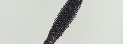 Если бы Анна Каренина была тушью - Karenina Modelling Mascara в чёрном оттенке от Divage
