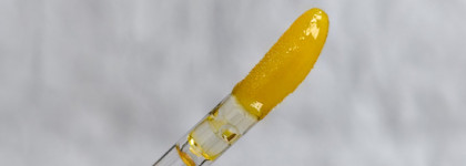 Очередной трендовый продукт из соц сетей - масло для губ Honey Infused Lip Oil в оттенке Honey Gold от Gisou