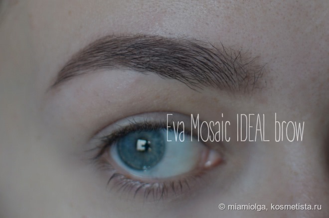 Обзор двух тушей для бровей: Brow drama Maybelline и Ideal Brow Eva Mosaic
