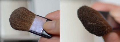 Дальний свет: румяна Shiseido Luminizing Satin Face Color WT 905