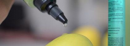 Яблочный пилинг для кожи головы Organic Shop Naturally Professional Apple Organic