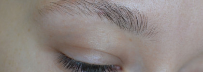 Гель для бровей Poniroma My Brow Fix Extreme: увы, не идеал