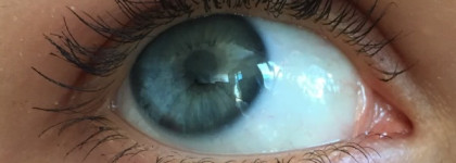 Kanebo Sensai 38°C mascara separating & lengthening brown