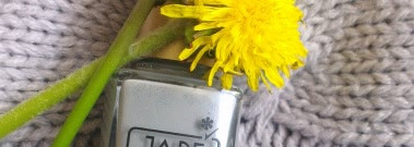 Два любимца — Ga-De Crystal Glow Nail Enamel # 385, 461