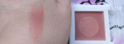 Нежность с Tony Moly Cheektone Single Blusher Cream 04