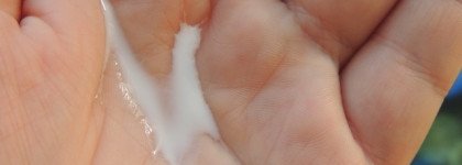 Знакомство с Kleona