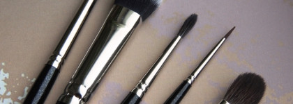 Кисти А.Voevodina