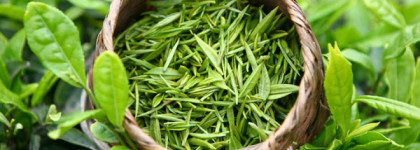 Нестареющая классика лета - Elizabeth Arden Green Tea