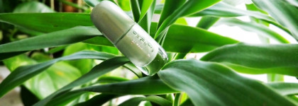 Нежная фисташка на ногтях с Essence 61 Running Wild