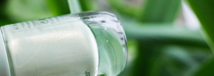 Нежная фисташка на ногтях с Essence 61 Running Wild