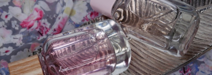 Чудесные летние ароматы Lightly Bloom и A Daisy Bouquet in London Zara