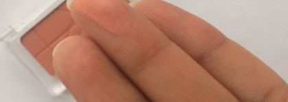 Catrice Defining blush # 090 mandy-rine и Catrice Lipstick Ultimate Colour # 300