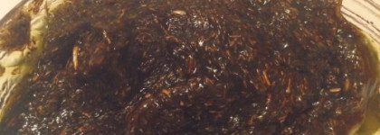 Все сказали и я скажу. Мой скромный уход от Спивакъ
