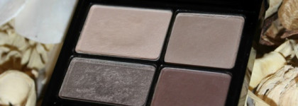 Нежный дымчатый макияж с Revlon Colorstay 16 Hour  Eye Shadow Quad № 500 Addictive