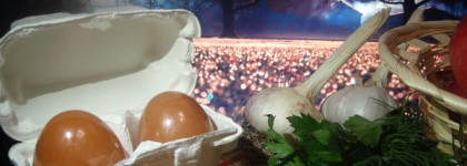 Мыло для умывания в необычной подаче. Корейцы снова нас удивляют, а мы с горящими глазами кричим "хочу"! А так ли нужны нашему лицу Holika Holika Red Clay Egg Soap?