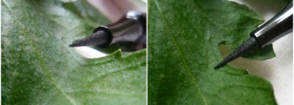 Как нарисовать красивые стрелки? С подводкой-фломастером Stellary Deep colour eyeliner в оттенке #01 black это проще простого