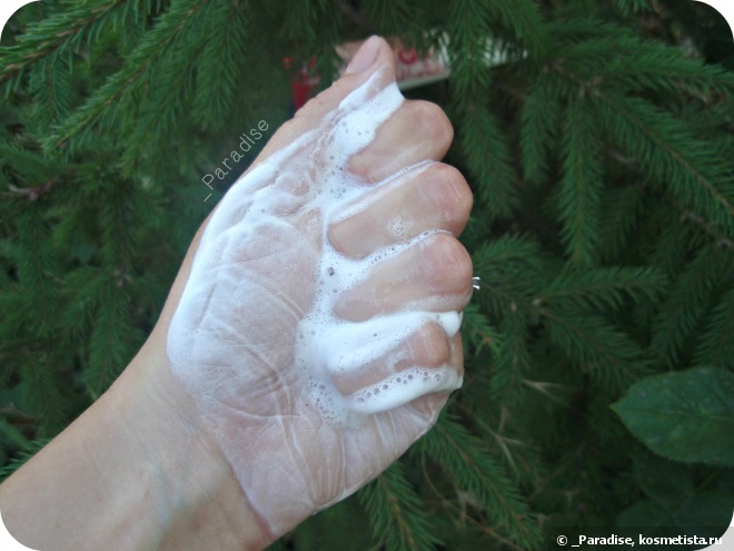 Пенка для умывания Echoice Tea Cleansing Foam