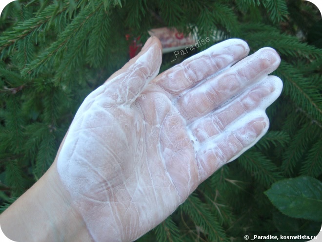 Пенка для умывания Echoice Tea Cleansing Foam