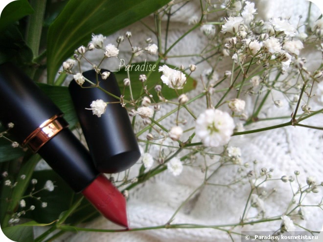 Губная помада Stellary Long Lasting Lipstick в оттенке #25 Вишневый цвет