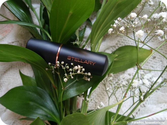 Губная помада Stellary Long Lasting Lipstick в оттенке #25 Вишневый цвет