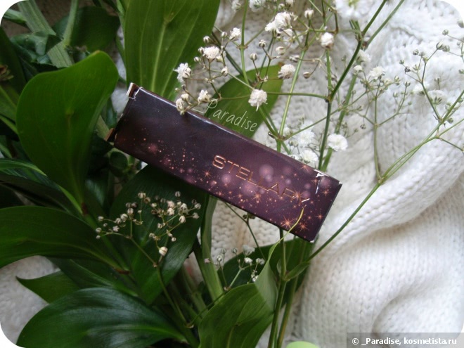 Губная помада Stellary Long Lasting Lipstick в оттенке #25 Вишневый цвет