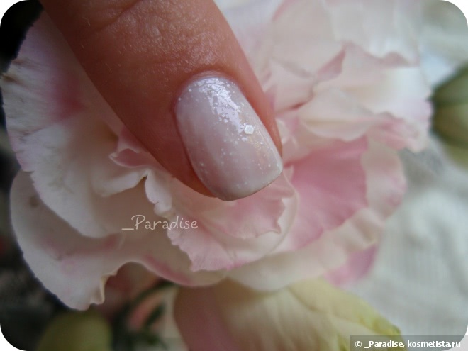Лак для ногтей EL Corazon Active Bio-gel Color gel polish Fashion Girl в оттенке #423/208 Fashion girl on a wedding