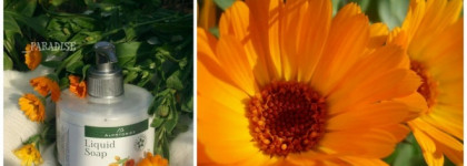 И в пир, и в мир, как говорится. Жидкое мыло AlpStories Liquid Soap Marigold