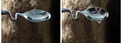 Мой лавандовый рай с AlpStories