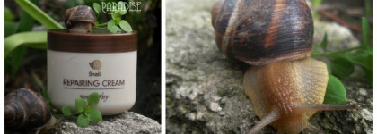Крем для лица Secret Key Snail Repairing cream