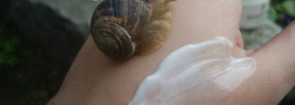 Крем для лица Secret Key Snail Repairing cream