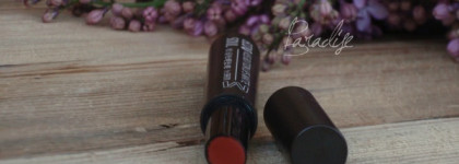Матовая помада The Saem Eco Soul Kiss Bitton Lips Matte в оттенке M 08 Red Pepper