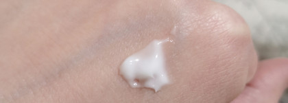 Уход от осени до весны