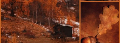 Моя медная осень