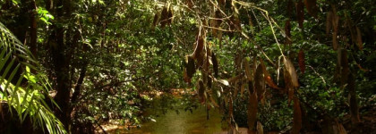 Santal Carmin от Atelier Cologne